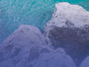 chien